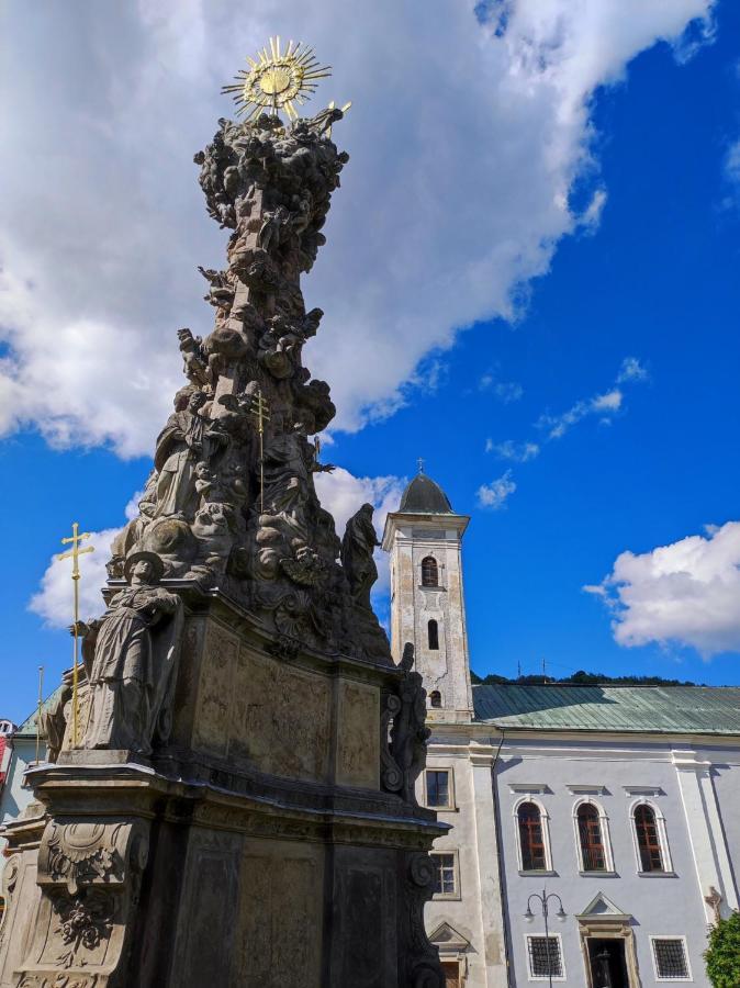 Апартаменти Krizkov Dom Кремниця Екстер'єр фото